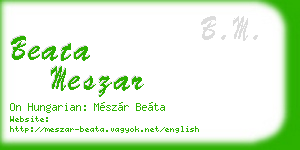 beata meszar business card